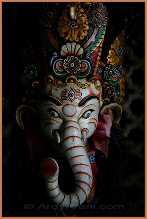 Enlarge photo 32