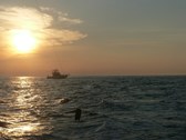 Argonaut Sport Fishing & Diving