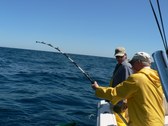 Enlarge photo 16