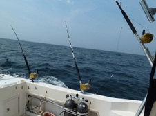 Enlarge photo 13