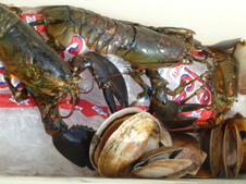 Enlarge photo 7