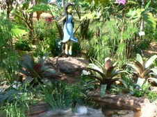 Enlarge photo 16