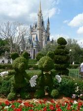 Disney Flower Show 2009