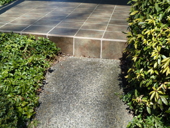 Enlarge photo 7