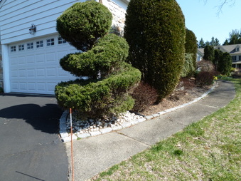 Enlarge photo 9