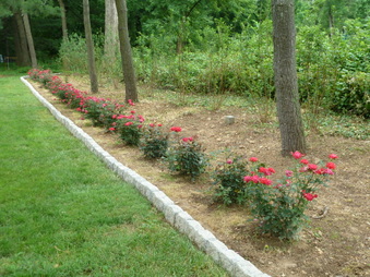Enlarge photo 54