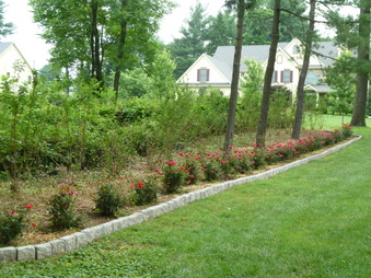 Enlarge photo 53