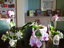 Enlarge photo 14