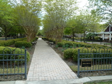Enlarge photo 14