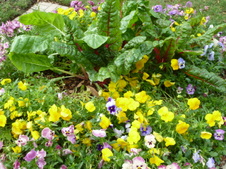 Enlarge photo 15