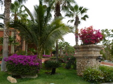 Enlarge photo 4