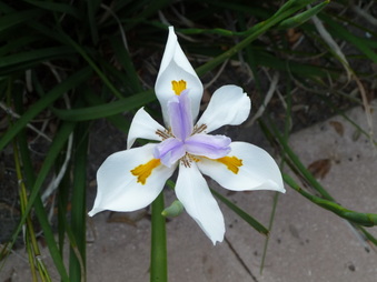 Enlarge photo 7