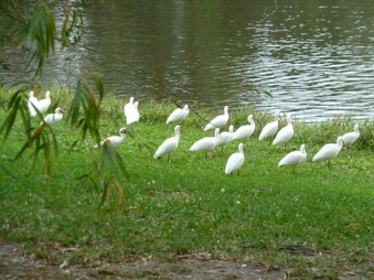 Enlarge photo 10