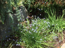 Enlarge photo 2