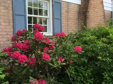 Enlarge photo 4