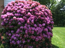Enlarge photo 5