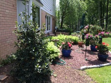 Enlarge photo 6