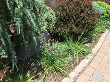 Enlarge photo 11