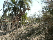 Enlarge photo 15