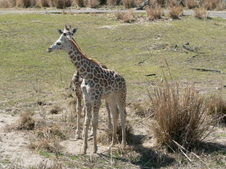 Enlarge photo 16