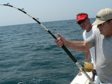 Enlarge photo 5