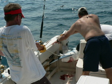 Enlarge photo 8