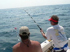 Enlarge photo 12