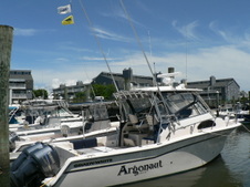 Enlarge photo 15