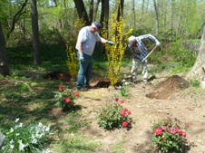 Enlarge photo 8