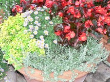 Enlarge photo 10