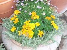 Enlarge photo 13