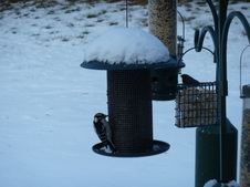 Enlarge photo 4