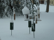 Enlarge photo 7