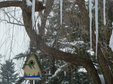 Enlarge photo 13