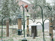 Enlarge photo 3