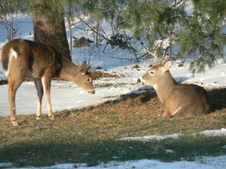 Enlarge photo 2