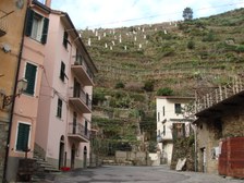 Enlarge photo 34