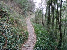 Enlarge photo 22