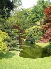 Enlarge photo 38