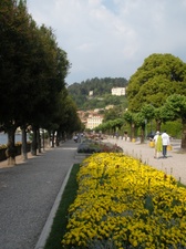 Enlarge photo 40
