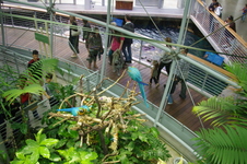 Enlarge photo 16