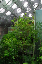 Enlarge photo 13