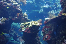 Enlarge photo 8