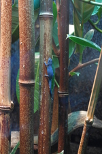 Enlarge photo 7
