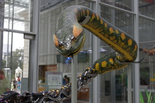 Enlarge photo 3
