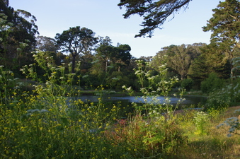 Enlarge photo 11