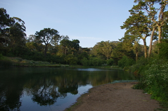 Enlarge photo 14