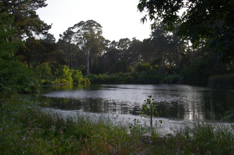 Enlarge photo 13