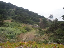 Enlarge photo 13