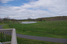 Enlarge photo 9